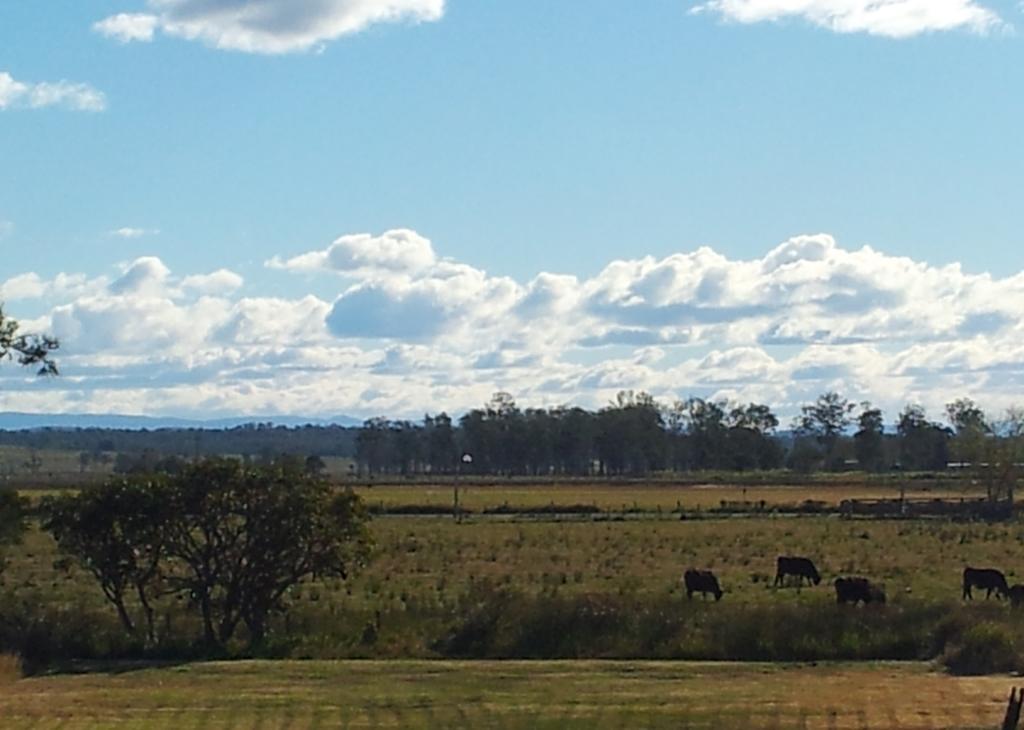 Andavine House - Bed & Breakfast Grafton Rom bilde